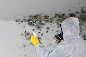 Best Mold Prevention Services  in Meridian Village, CO